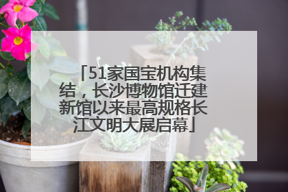 51家国宝机构集结，长沙博物馆迁建新馆以来最高规格长江文明大展启幕