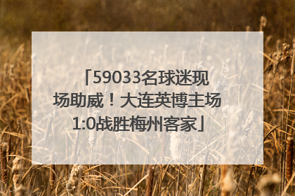 59033名球迷现场助威！大连英博主场1:0战胜梅州客家