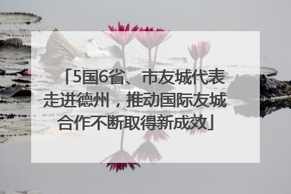 5国6省、市友城代表走进德州，推动国际友城合作不断取得新成效