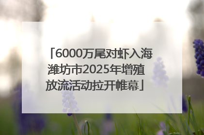 6000万尾对虾入海 潍坊市2025年增殖放流活动拉开帷幕