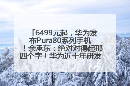 6499元起，华为发布Pura80系列手机！余承东：绝对对得起那四个字！华为近十年研发投入12490亿元