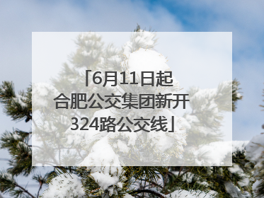 6月11日起 合肥公交集团新开324路公交线