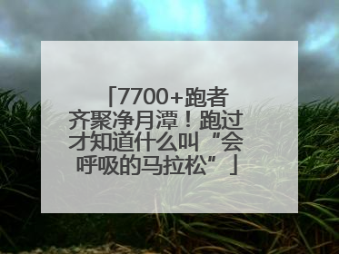 7700+跑者齐聚净月潭！跑过才知道什么叫“会呼吸的马拉松”
