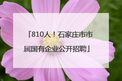 810人！石家庄市市属国有企业公开招聘
