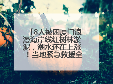 8人被困厦门浪漫海岸线红树林淤泥，潮水还在上涨！当地紧急救援全部脱困