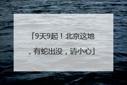 9天9起！北京这地，有蛇出没，请小心