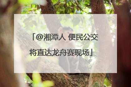@湘潭人 便民公交将直达龙舟赛现场