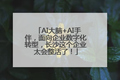AI大脑+AI手伴，面向企业数字化转型，长沙这个企业太会整活了！