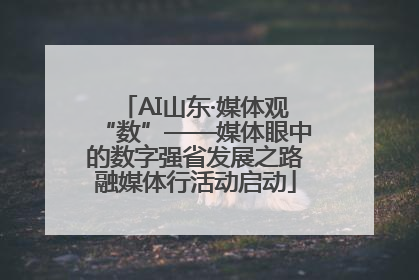AI山东·媒体观“数”——媒体眼中的数字强省发展之路融媒体行活动启动