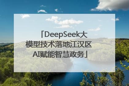 DeepSeek大模型技术落地江汉区 AI赋能智慧政务