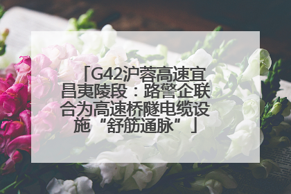 G42沪蓉高速宜昌夷陵段：路警企联合为高速桥隧电缆设施“舒筋通脉”