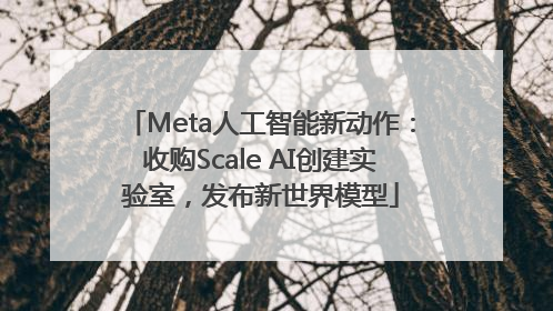 Meta人工智能新动作：收购Scale AI创建实验室，发布新世界模型