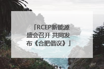 RCEP新能源盛会召开 共同发布《合肥倡议》