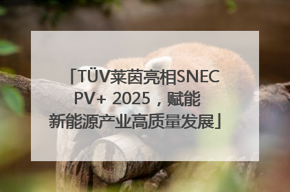 TÜV莱茵亮相SNEC PV+ 2025，赋能新能源产业高质量发展